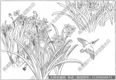 水仙花 白描底稿高清大图13下载