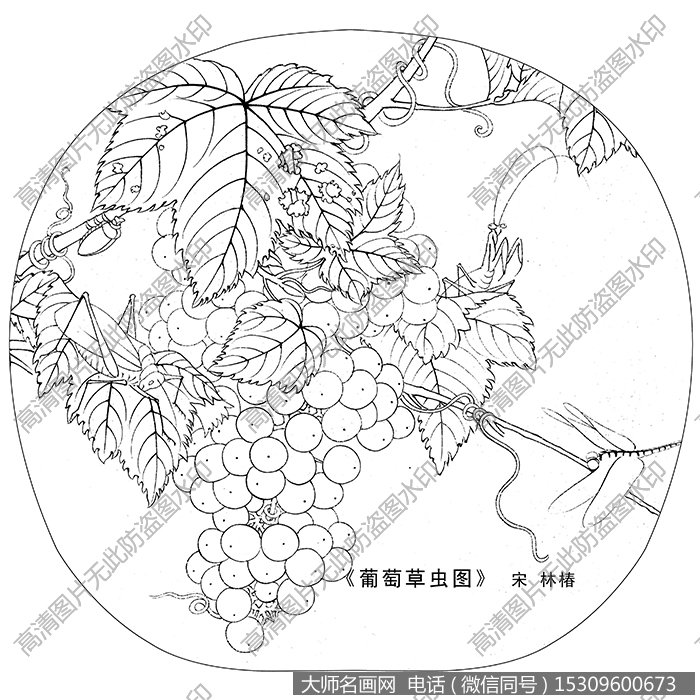 宋代名画_葡萄草虫图 白描底稿高清图片下载