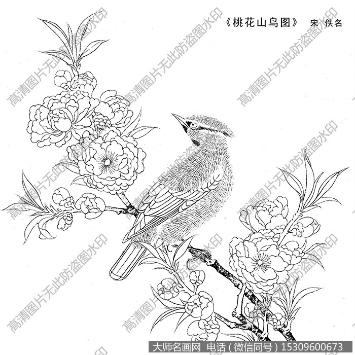 宋代名画_桃花山鸟图 白描图片高清下载