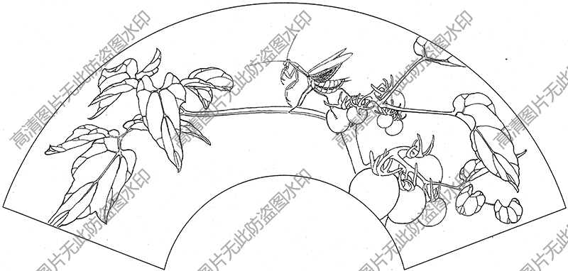 扇面草虫 线描图片高清大图21下载