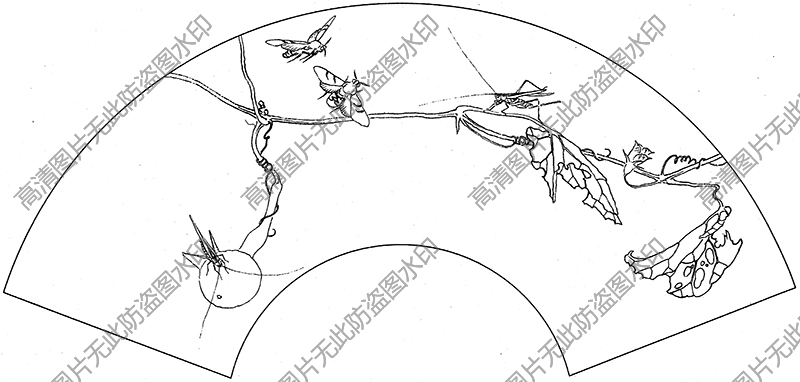 扇面草虫 线描图片高清大图32下载