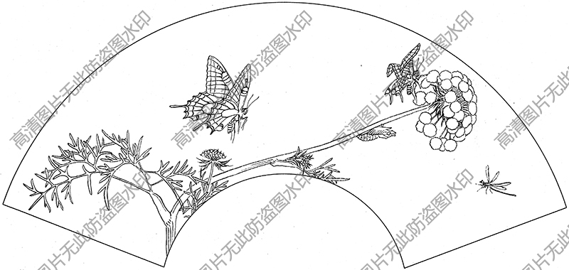 扇面草虫 白描底稿高清大图37下载
